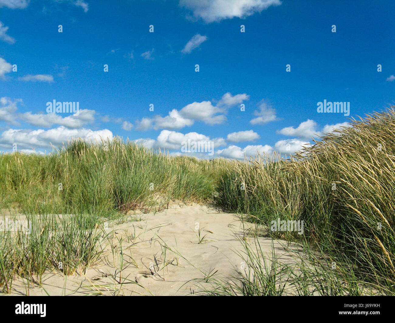 beach seaside the beach seashore water north sea salt water sea ocean ...