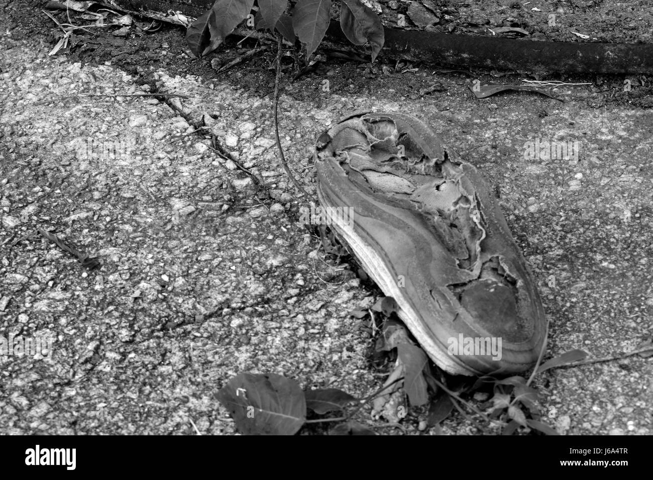 old shoe Stock Photo