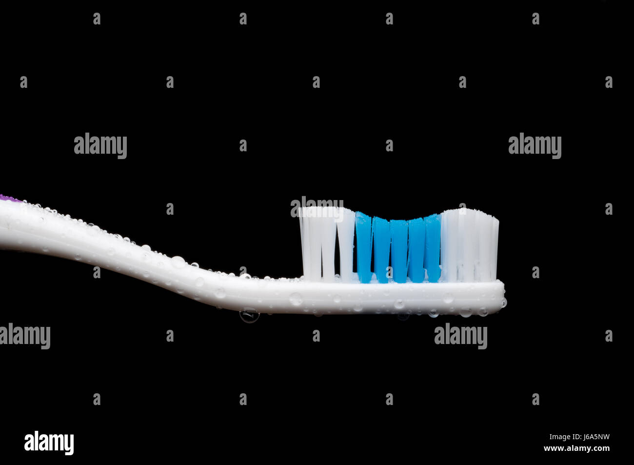 teeth brush hygiene toothbrush dental paintbrush brushing drop drip drops Stock Photo Alamy