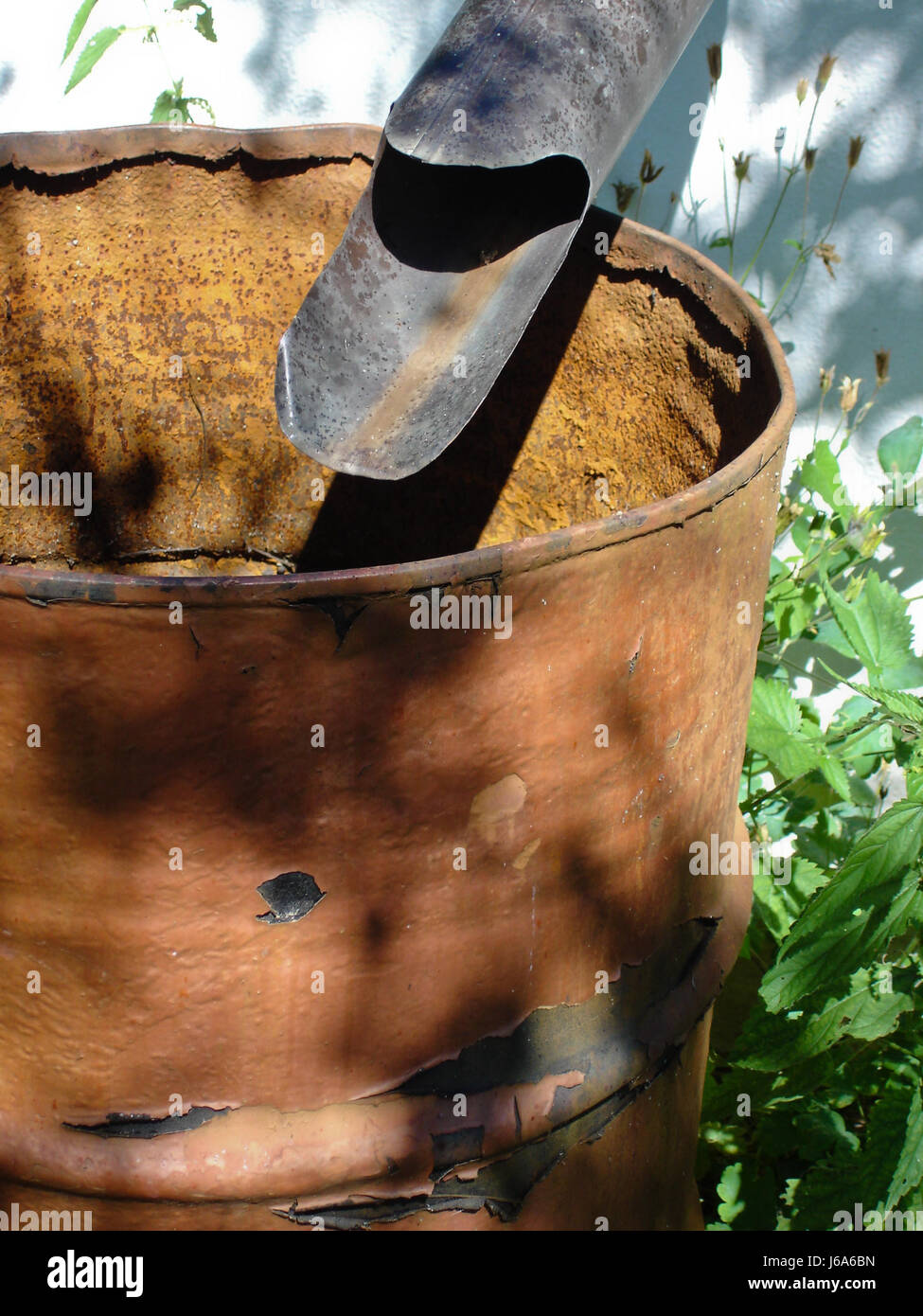 garden shine shines bright lucent light serene luminous sunny