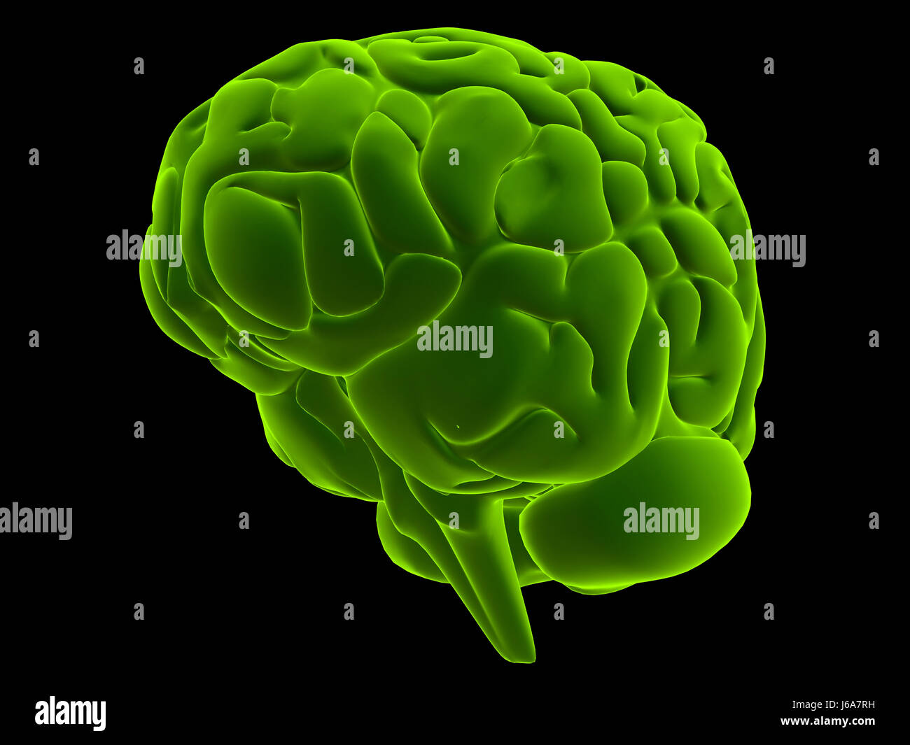 medicinally medical science human human being anatomy brain organ health male Stock Photo