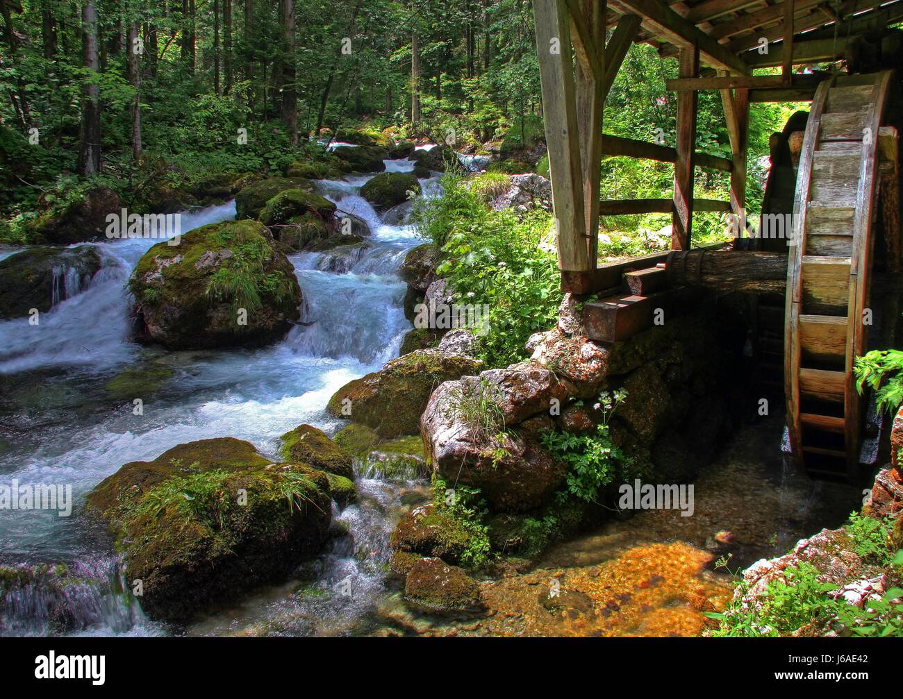 Stream Torrent Mill Forest River Water Big Large Enormous Extreme.