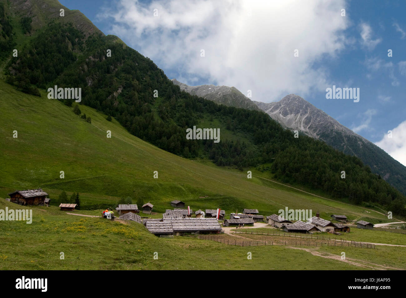 fane alm Stock Photo