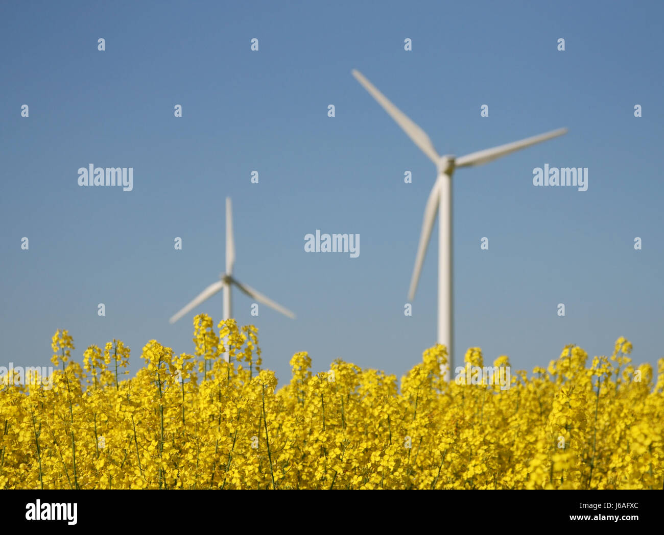 wind energy Stock Photo