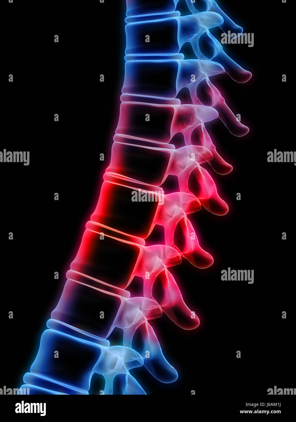 medicinally medical human human being anatomy spine backache arthritis blue Stock Photo