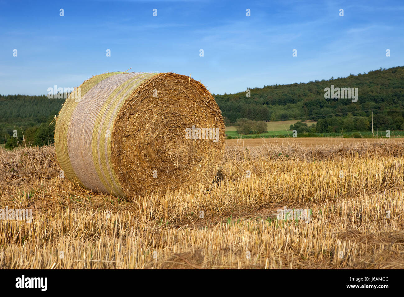agriculture farming field wheat straw ball grain field straw harvest