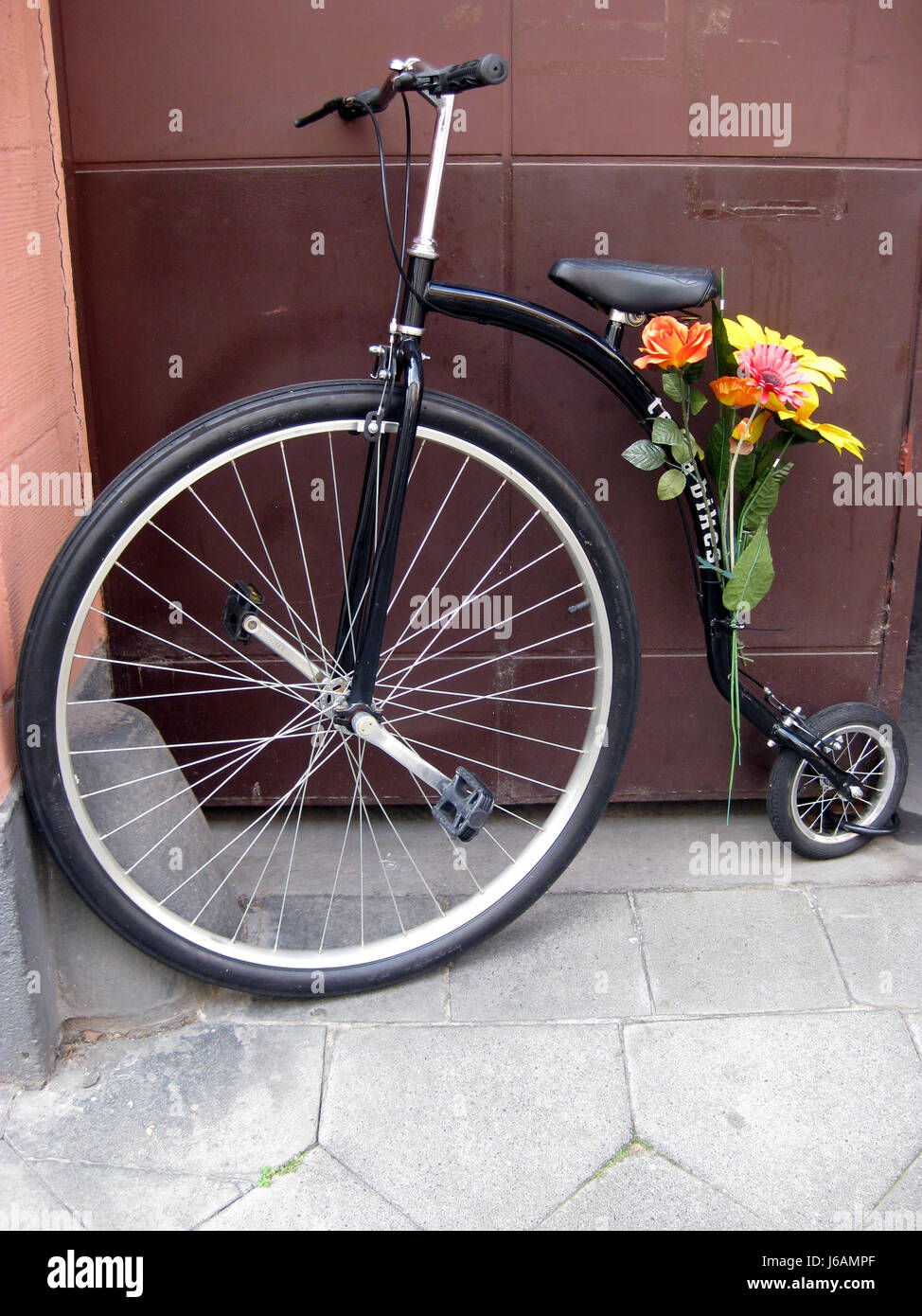 historical antique flower flowers plant saddle restores saddles bike bicycle Stock Photo