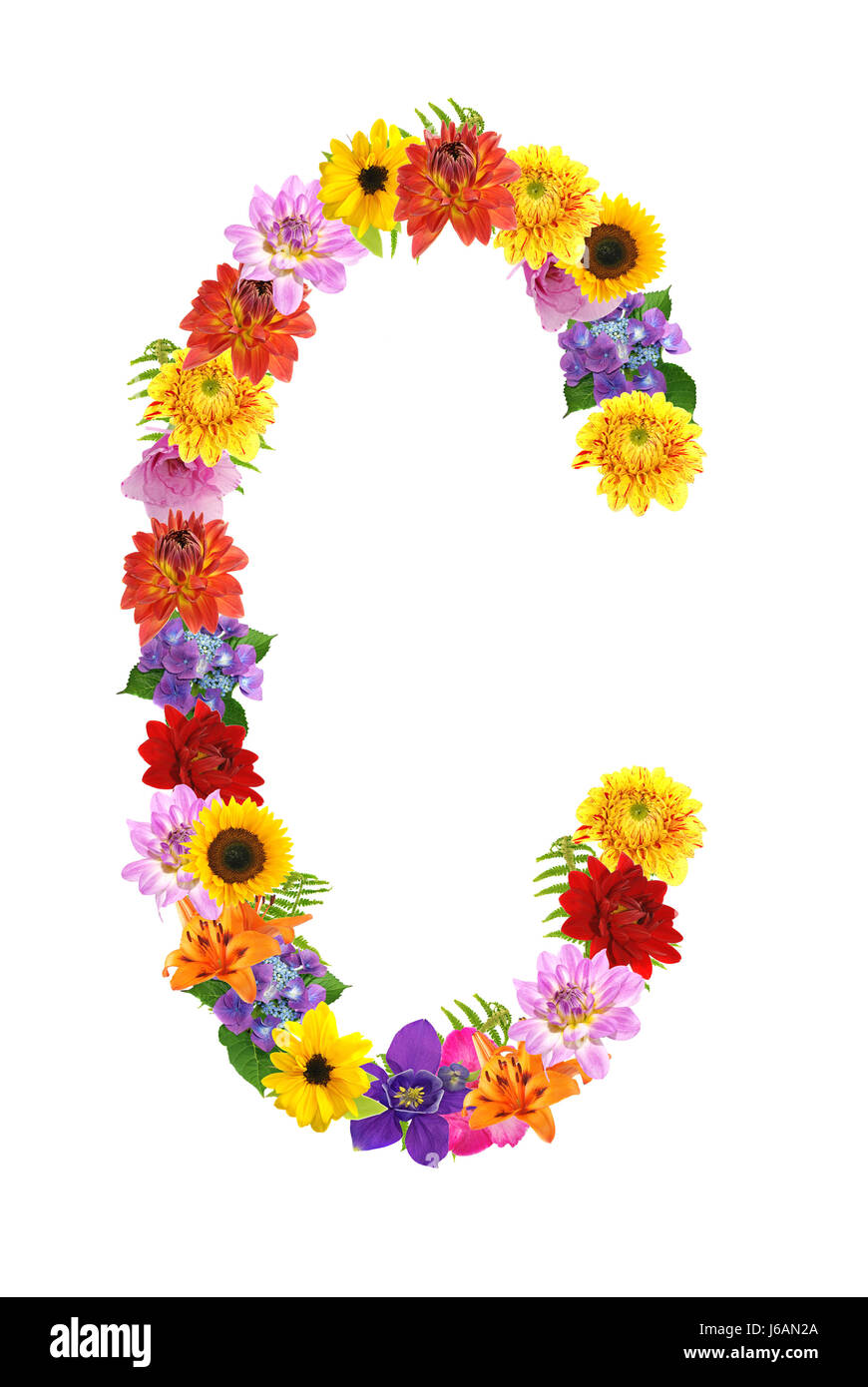 flower flowers plant letters letter alphabet coloured colourful gorgeous Stock Photo