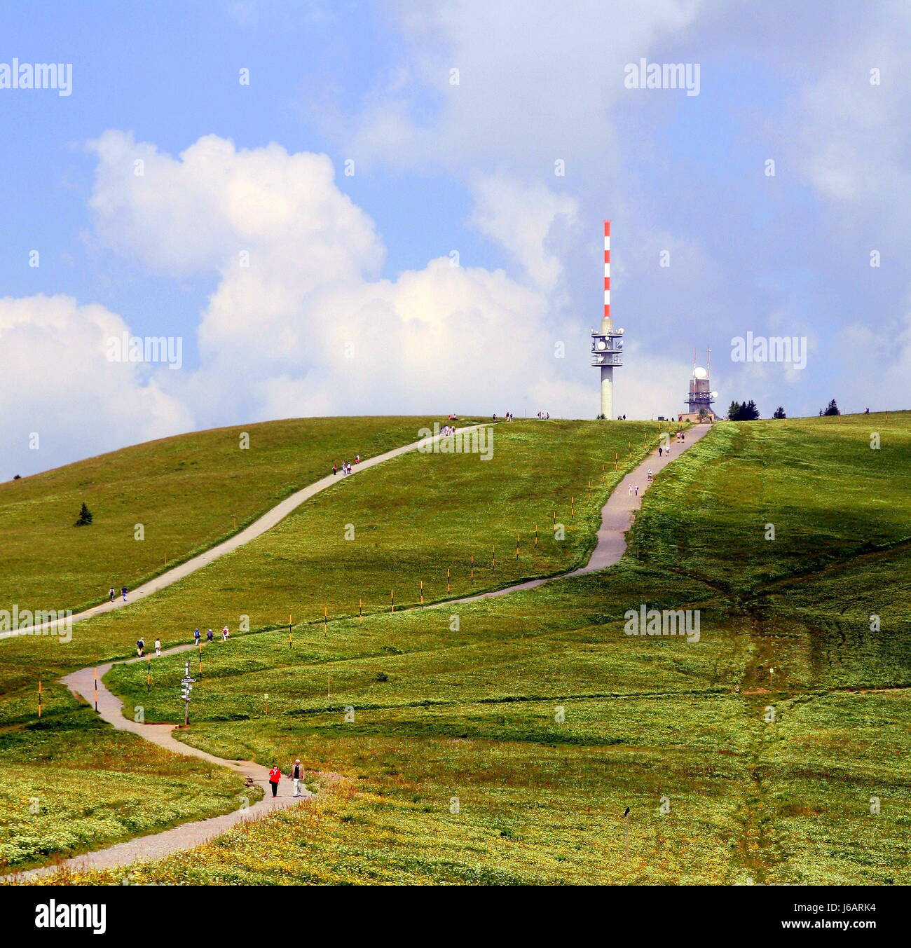 Feldbergwiesen hi-res stock photography and images - Alamy
