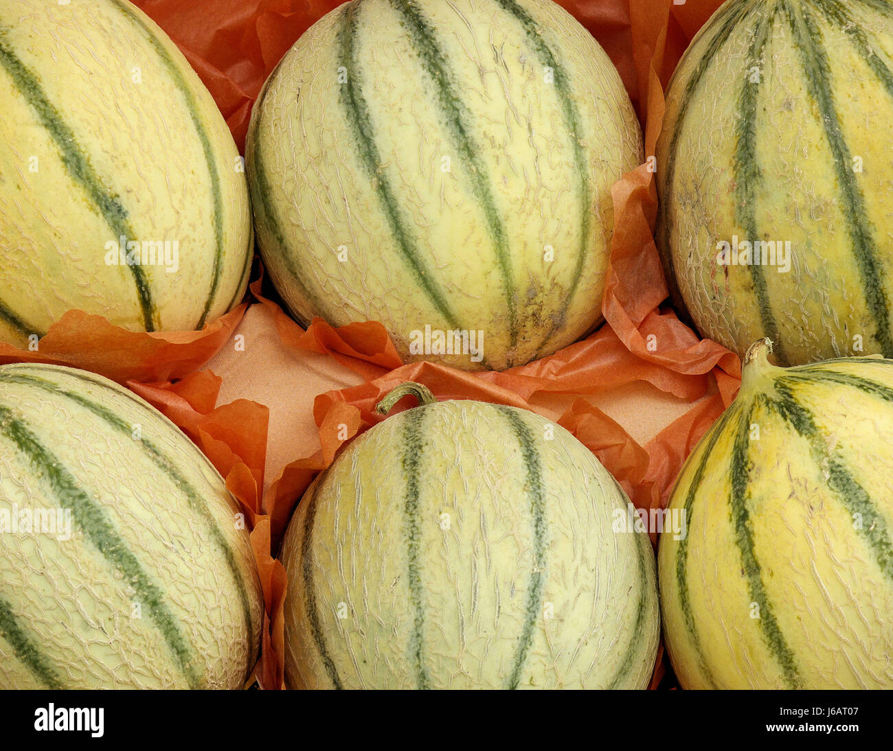 progenies fruits fruit melon progenies fruits fruit six bowl juicy melon piece Stock Photo