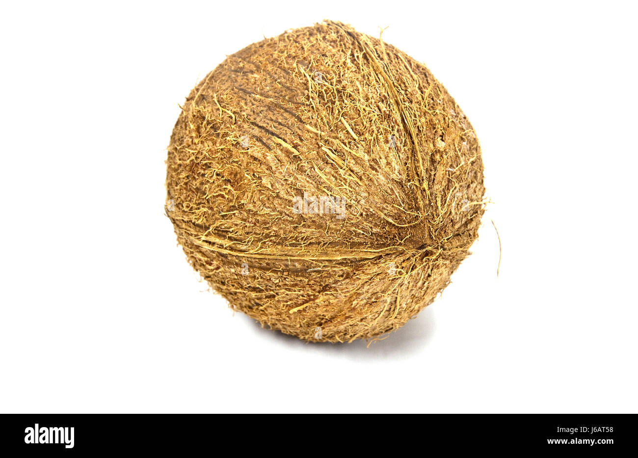 fruit exotic tropical nut entire savoury coconut fruit exotic tropical