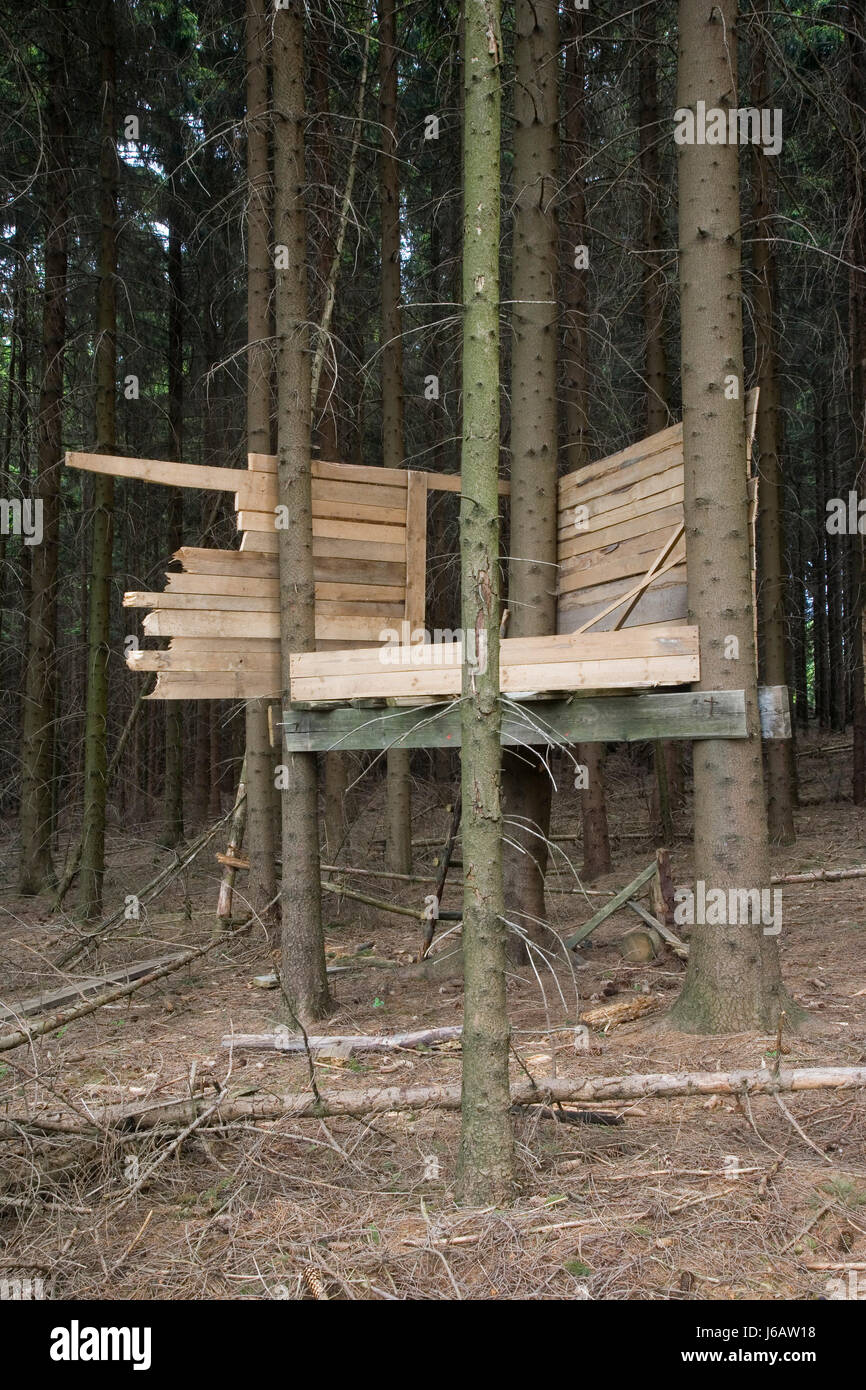 house building canvas built nailed tree house playground forest house building Stock Photo