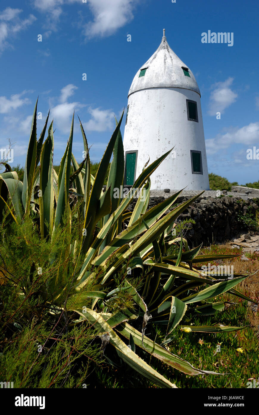 windmill azores blue plant green shine shines bright lucent light serene Stock Photo