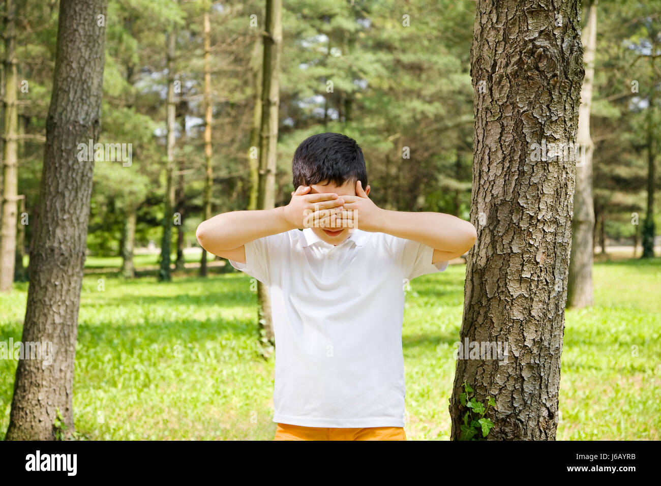 Free Vector  Little kids playing hide and seek in park playing game with  friends outdoor in vacations boy counting boys hiding begind tree girl  running to hide