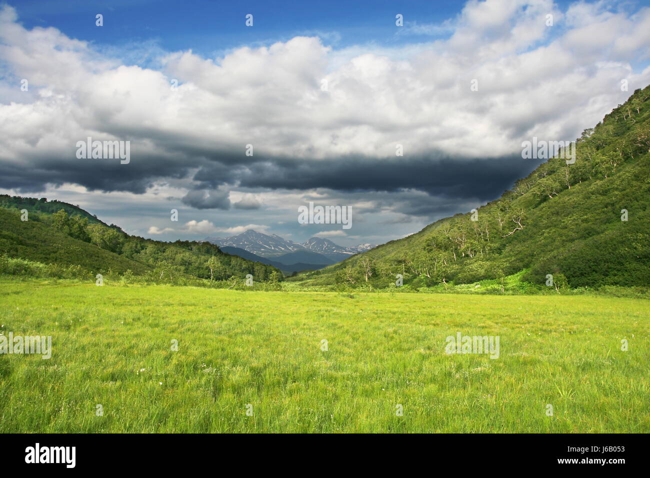 environment enviroment shine shines bright lucent light serene luminous