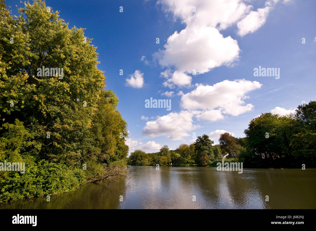 Hamburg forest hi-res stock photography and images - Alamy