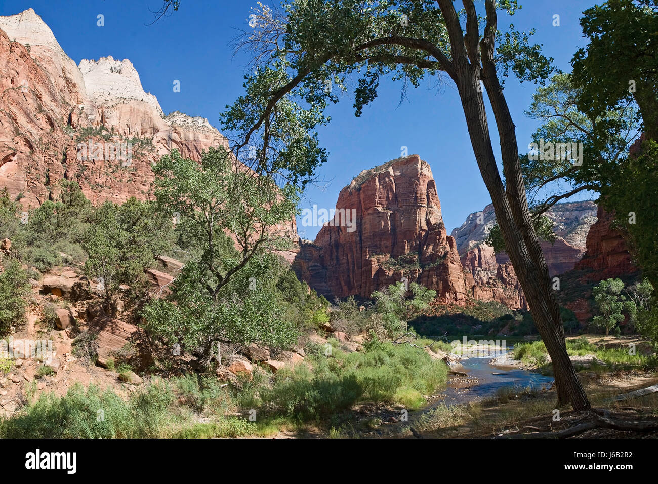 angels landing Stock Photo