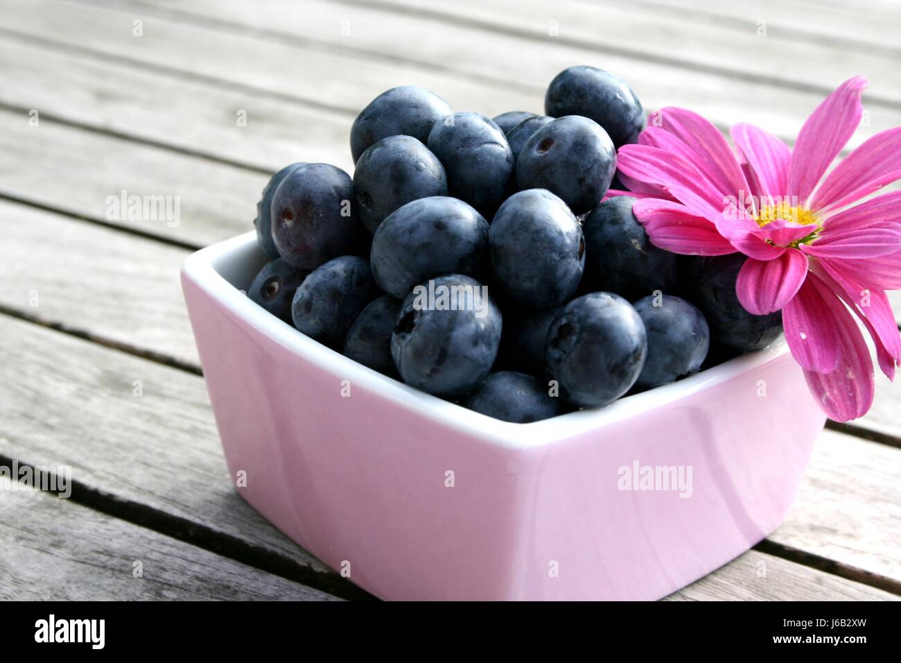 blueberries Stock Photo