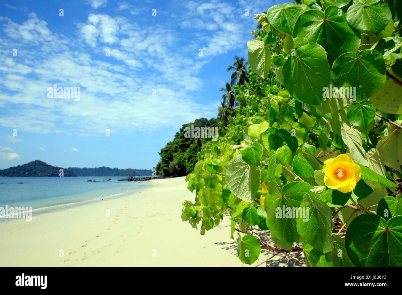 Tropical Beach of Coibita, aka Rancheria, with Isla Coiba in the Background. Coiba National Park, Panama Stock Photo