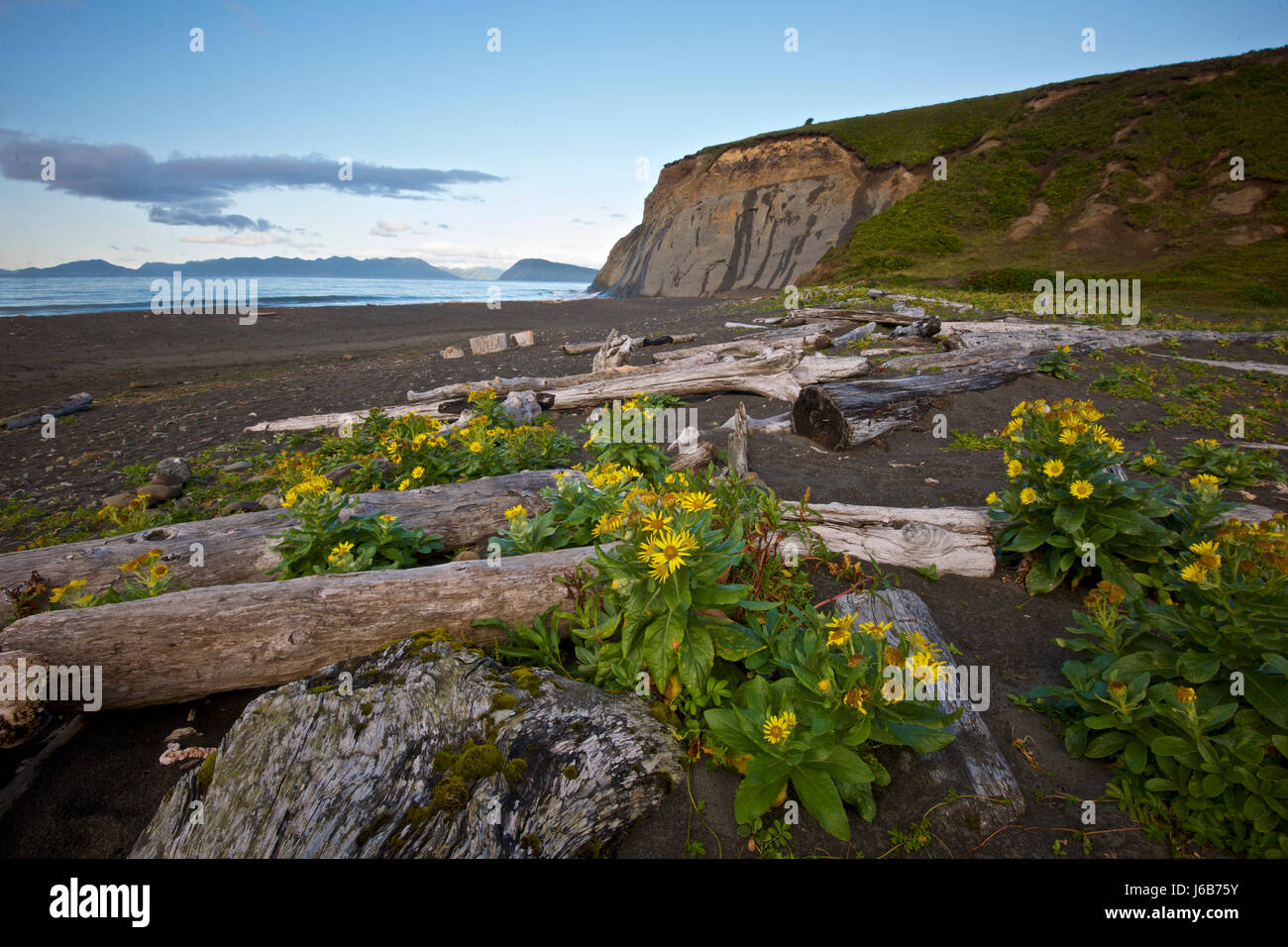 Fossil Beach, Kodiak, Alaska Stock Photo