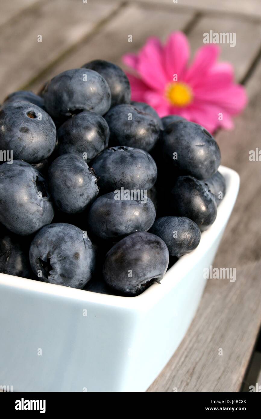 blueberries Stock Photo