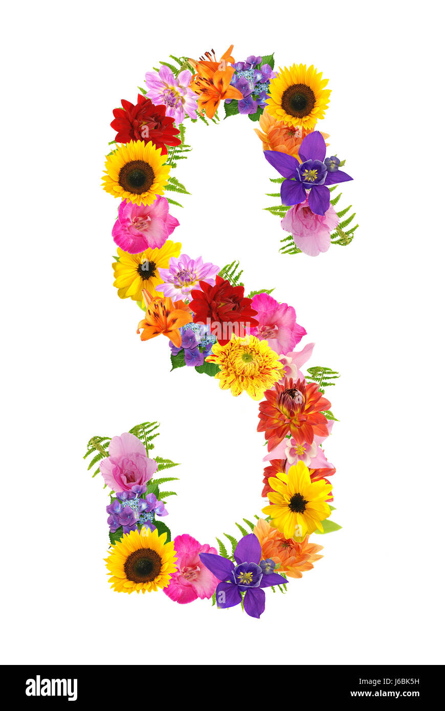 Flower Flowers Plant Letters Letter Alphabet Symbolic
