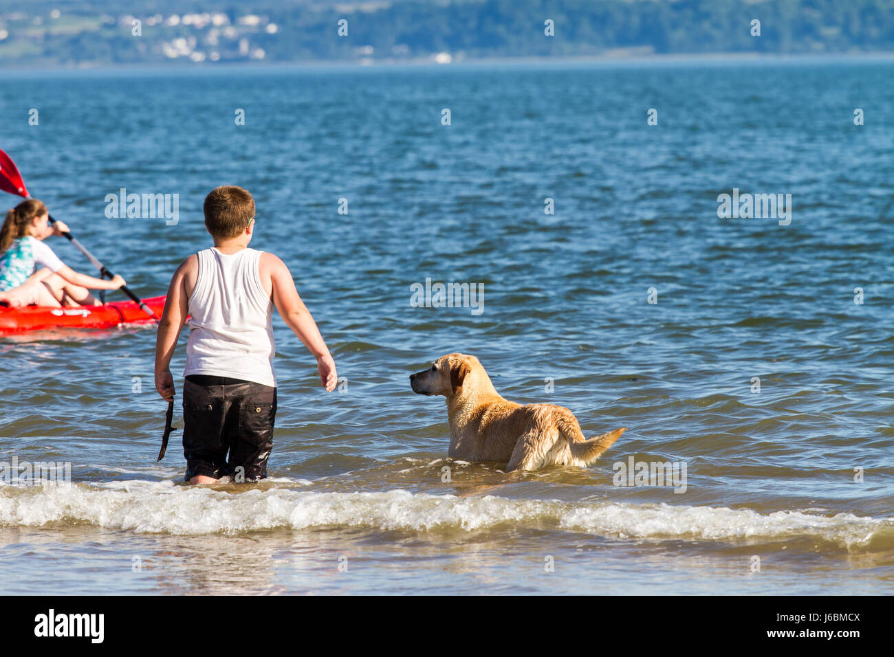 https://c8.alamy.com/comp/J6BMCX/kids-and-dog-playing-on-the-sea-shore-beach-of-burry-port-wales-great-J6BMCX.jpg