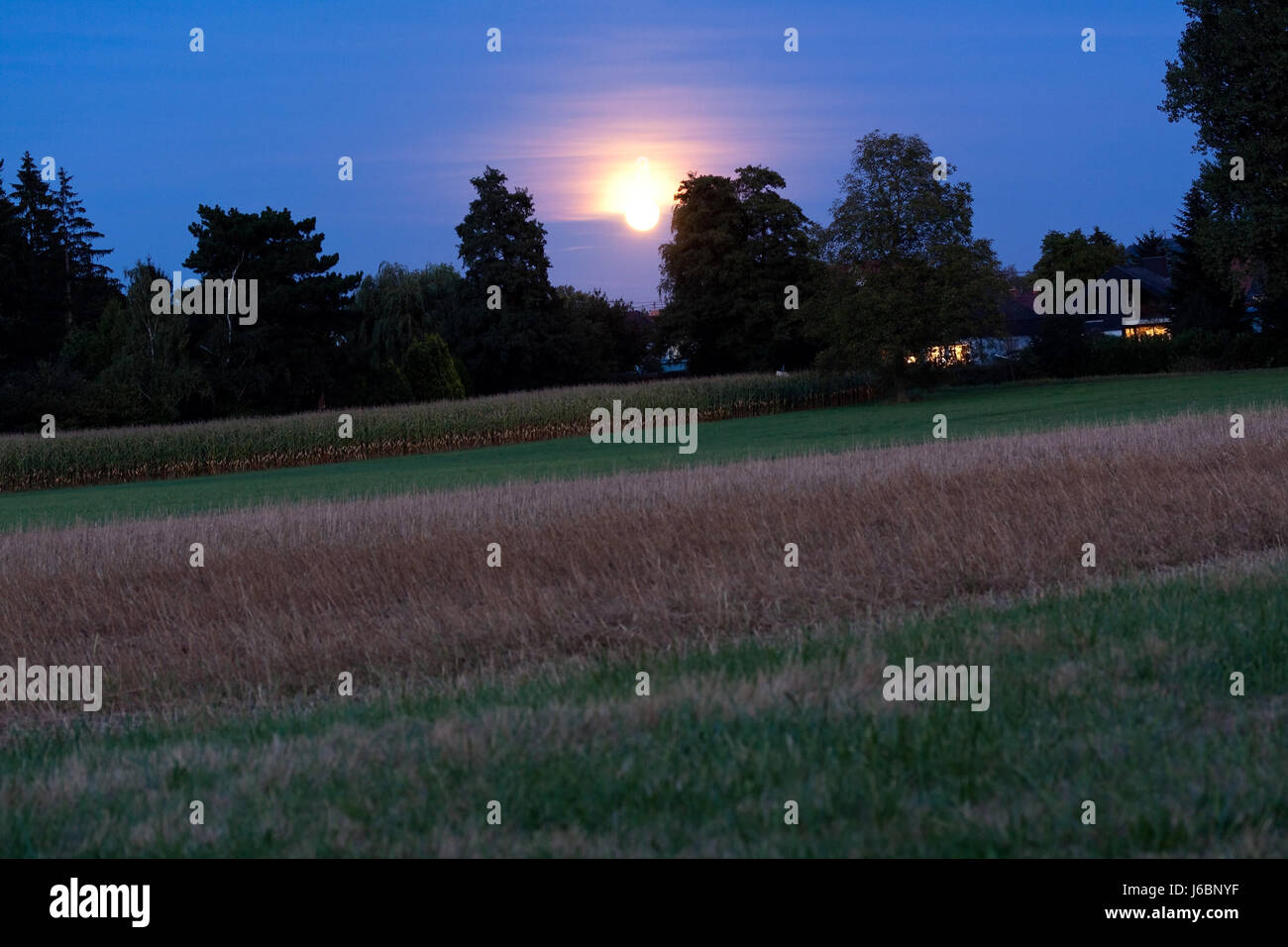 Cornfield at night hires stock photography and images Alamy