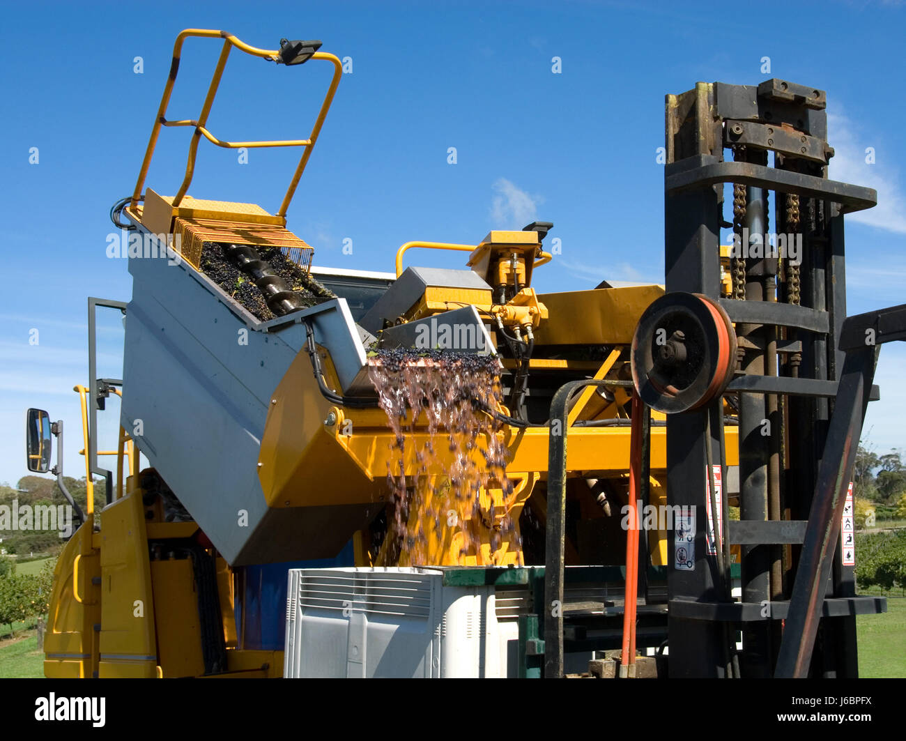 machinery agriculture farming grapes harvest fruit viticulture harvester winery Stock Photo