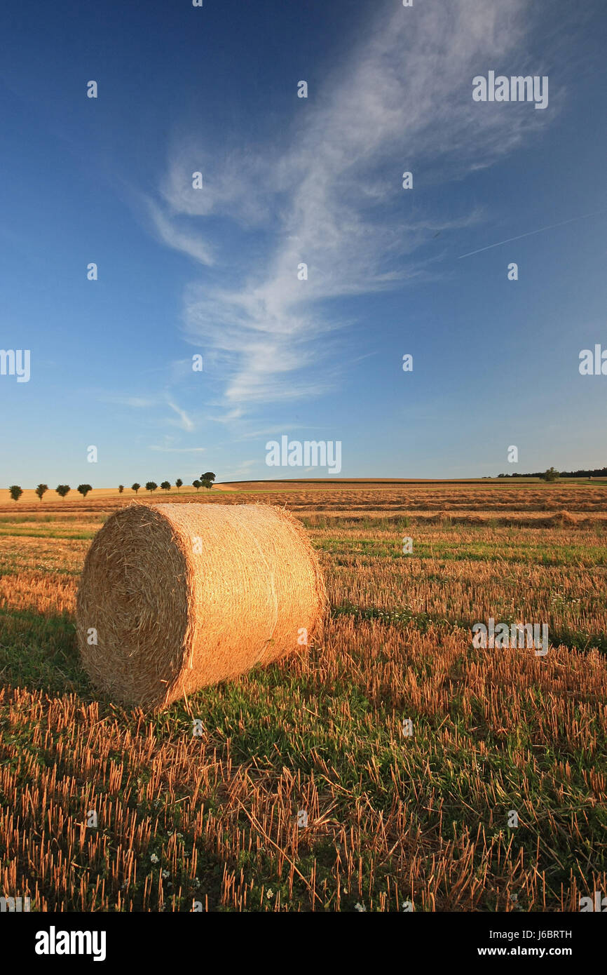 fauna field flora farmer straw land realty ground harvest fauna agriculture Stock Photo