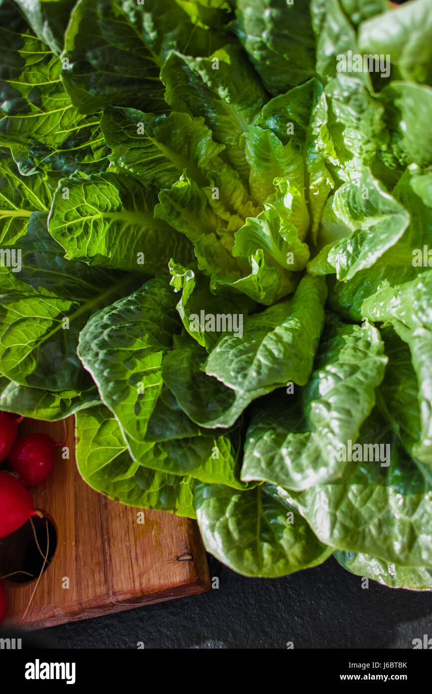 Green romaine lettuce source of vitamins, ready to eat Stock Photo