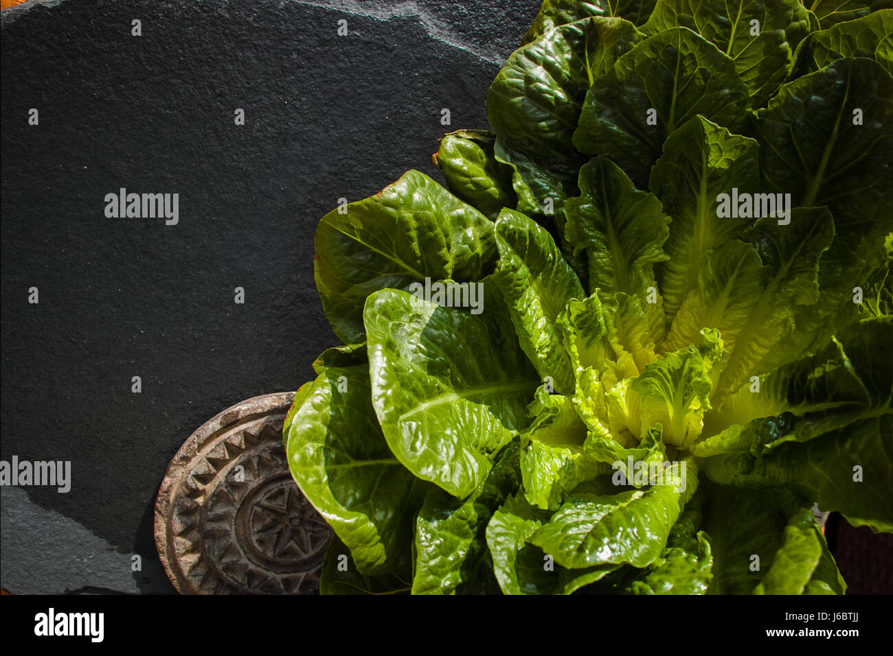 Green romaine lettuce source of vitamins, ready to eat Stock Photo