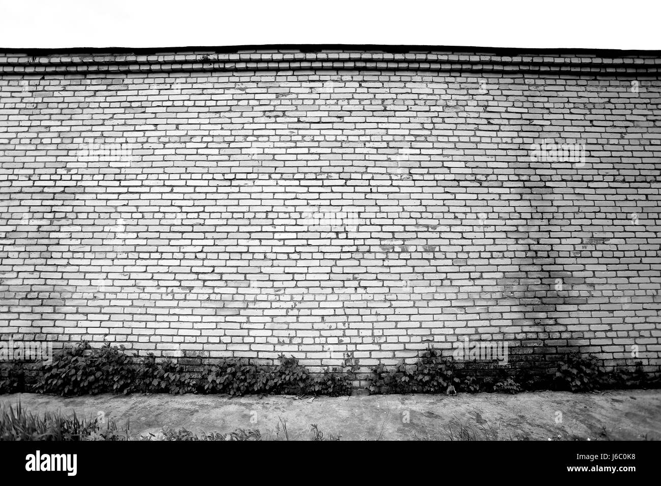 Beautiful texture of white brick photographed close-up Stock Photo - Alamy
