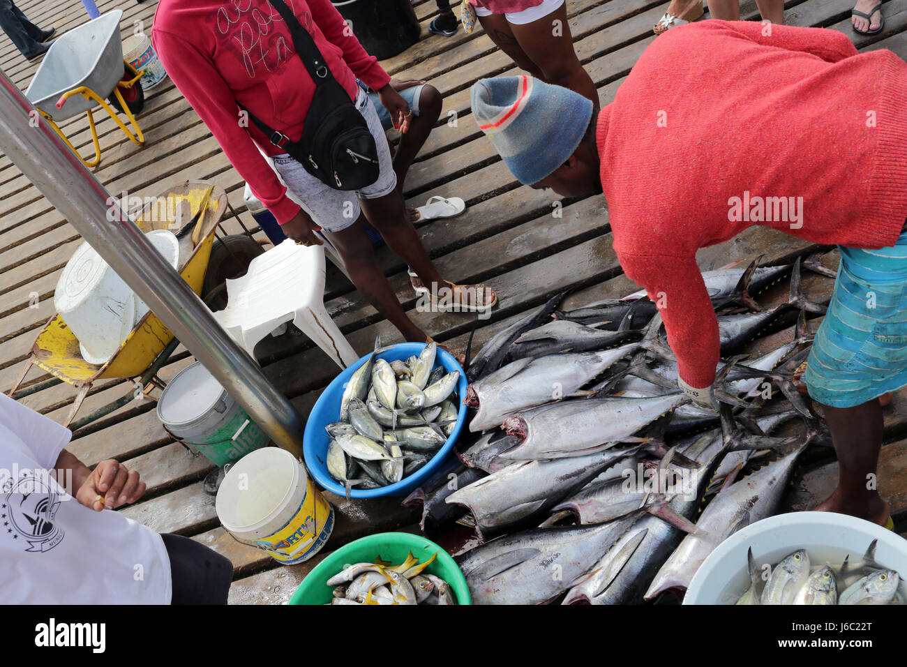 Fresh Fish market Sal Stock Photo Alamy