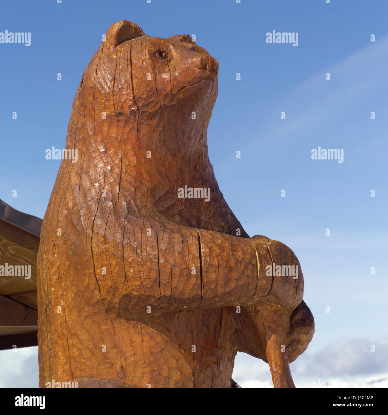 animal statue bear animals canada wildlife carving carved wooden
