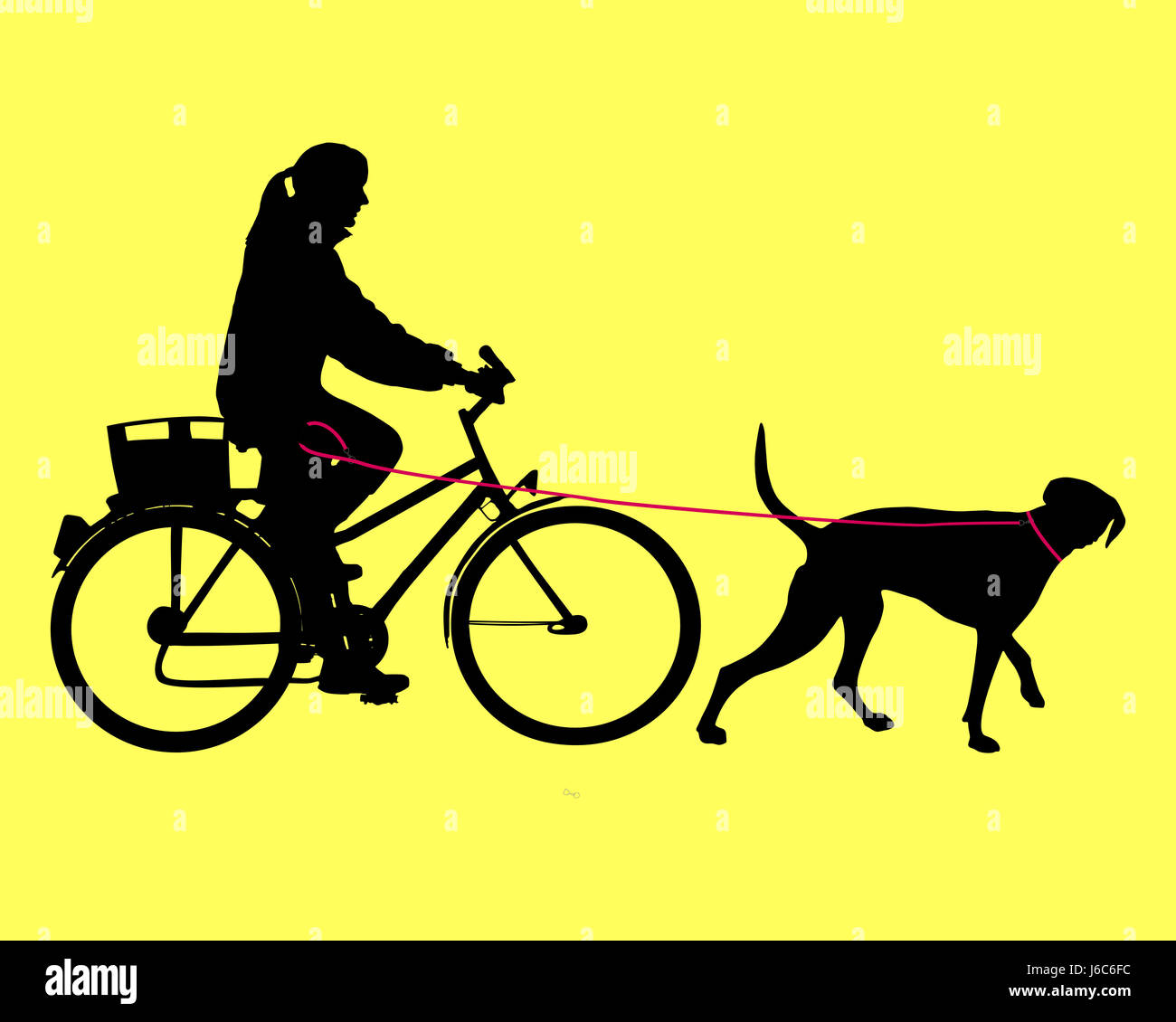 cyclist with dog on leash Stock Photo