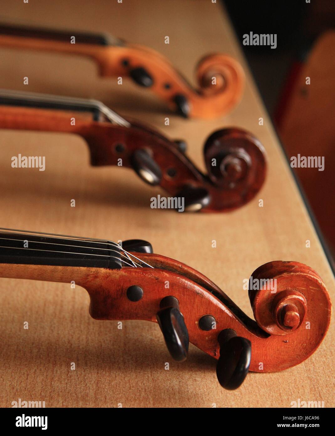 music snail violin concert bowed instrument trio stringed instrument orchestra Stock Photo