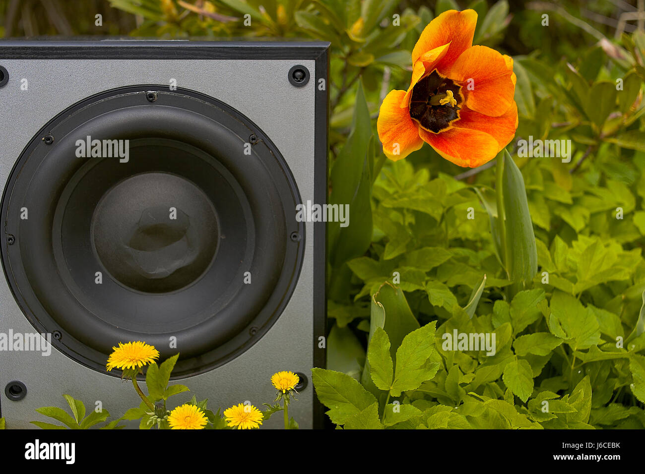 Subwoofer In Garden Stock Photo