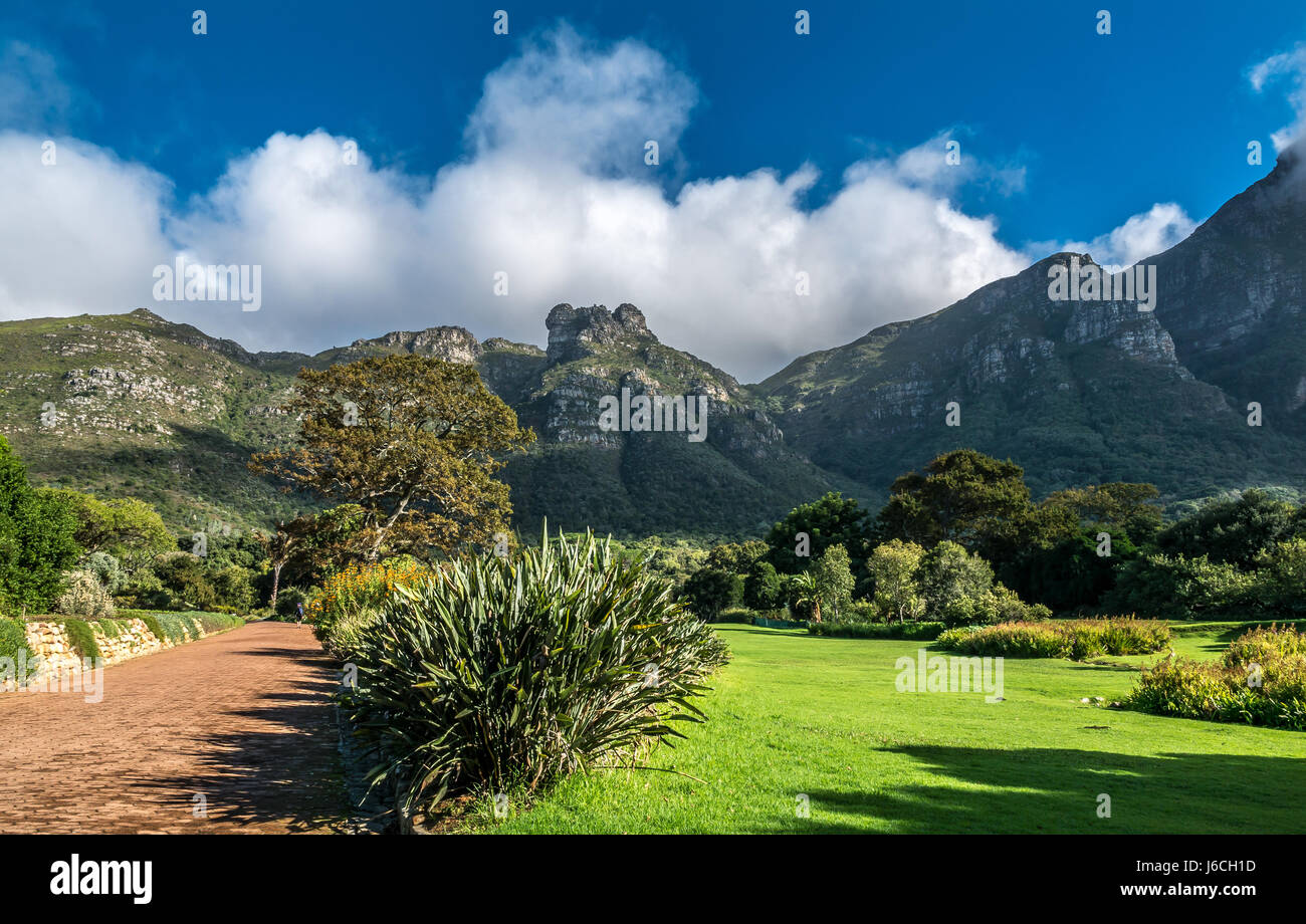 Path leading through Kirstenbosch National Botanical Gardens with Table Mountain and rising cloud formation known as the tablecloth in background Stock Photo