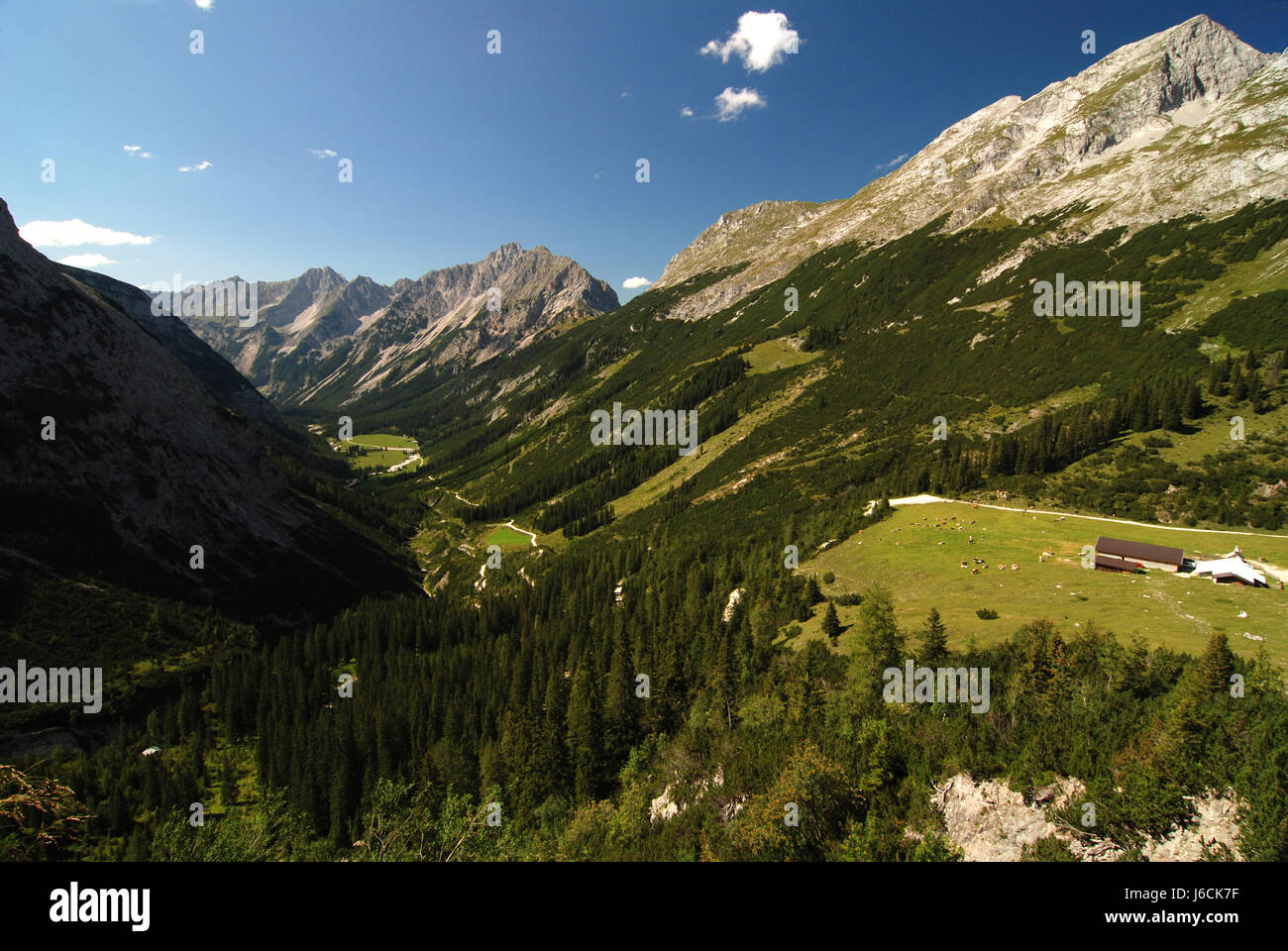mountains alps alp austrians meadows high mountains tyrol mountain karwendeltal Stock Photo