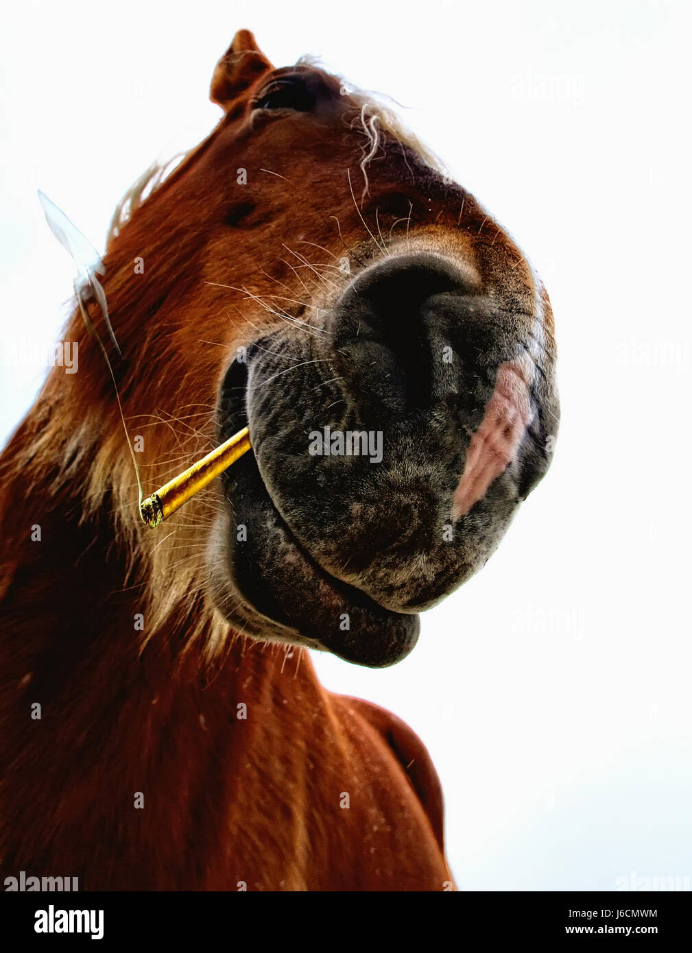 Herabschauend hires stock photography and images Alamy