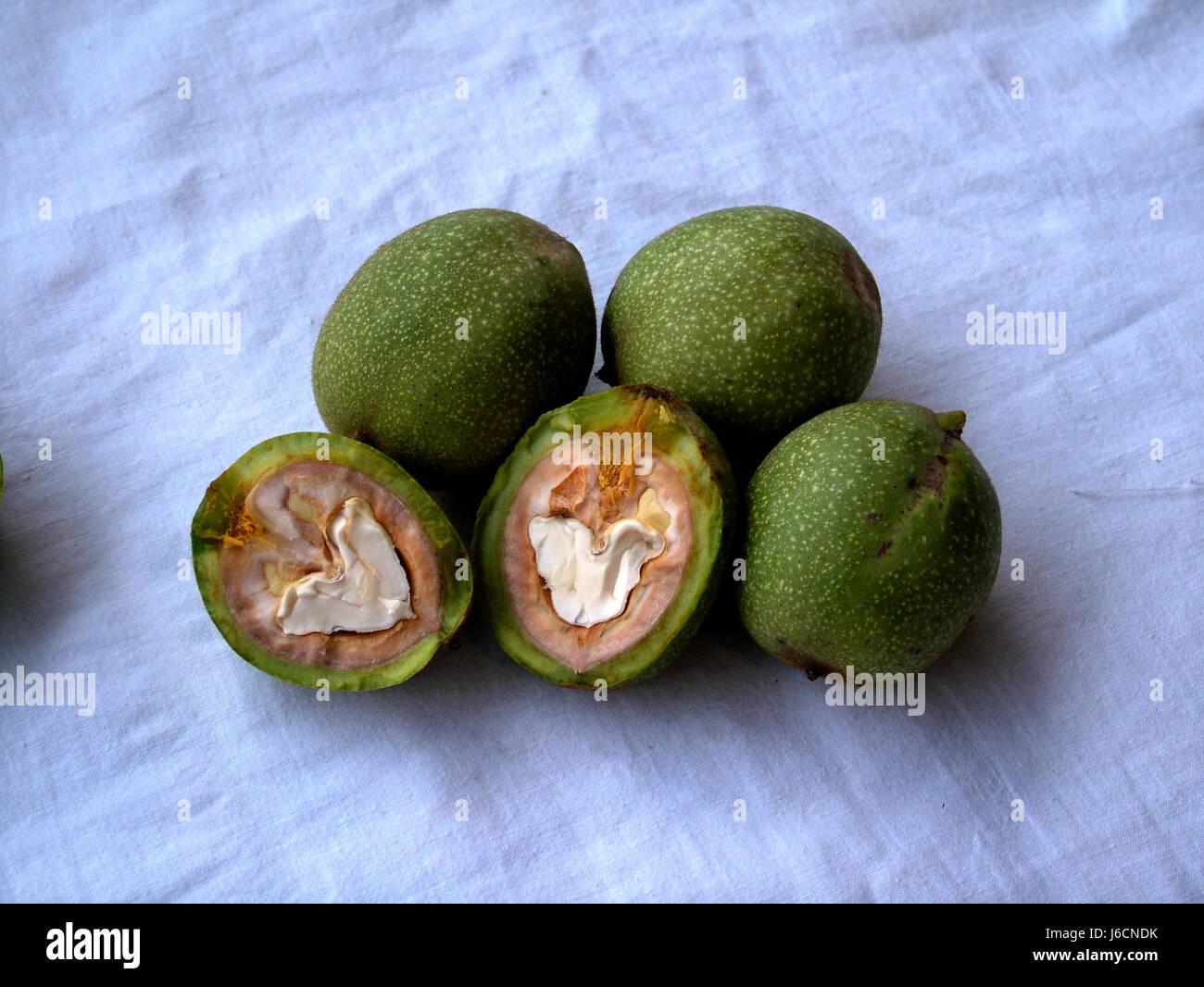 Walnut Acrut, Walnut In Shell (Akhrot), Akhrot (Juglans Regia), Walnut Dry Fruit, Walnut Farming, Kashmir (Copyright © Saji Maramon) Stock Photo