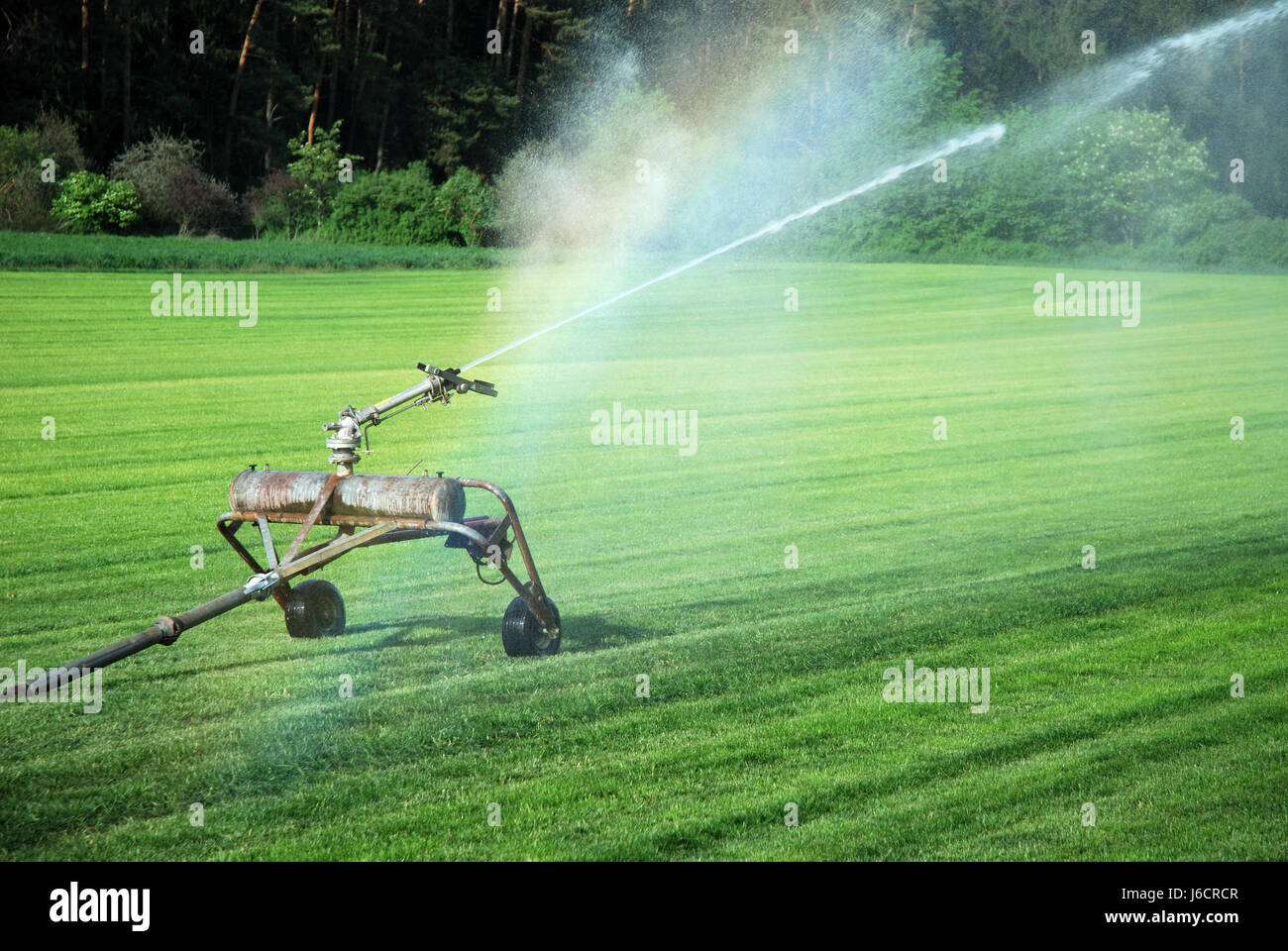 irrigate meadow grass lawn green watering irrigation water agriculture