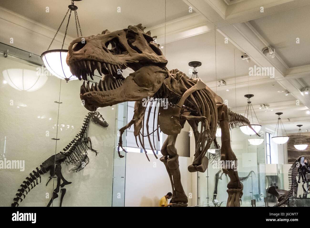 Realistic t rex hi-res stock photography and images - Alamy