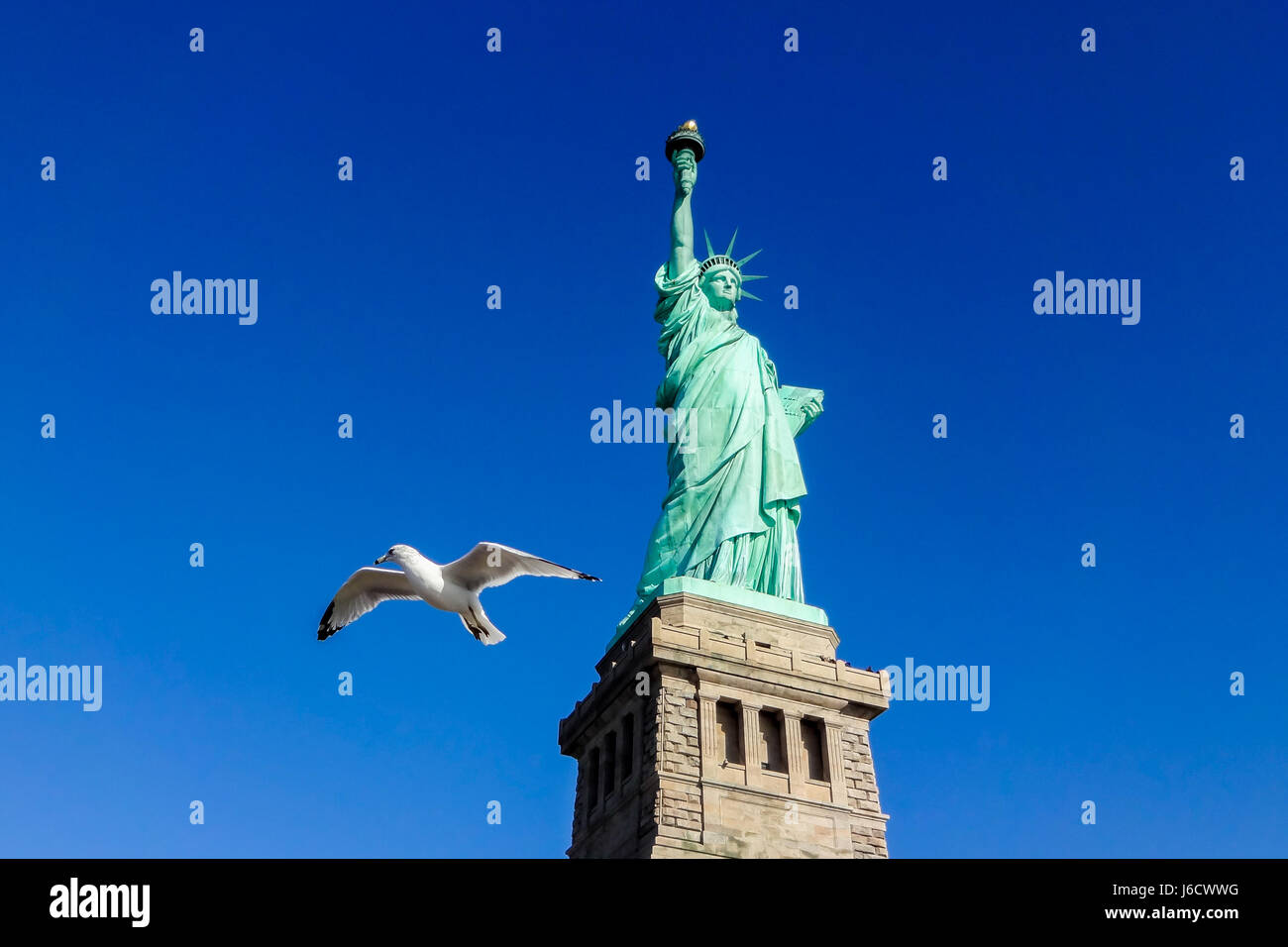 Pigeon in front of Statue of Liberty at perfect weather conditions blue