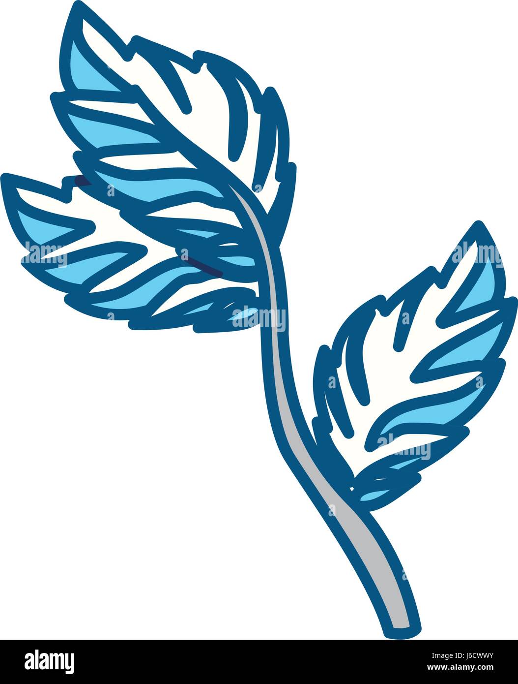 Mint plant leaves Stock Vector Image & Art - Alamy
