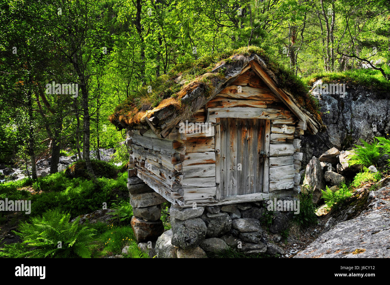 house building norway hovel cottage summerhouse lodge hut house building tree Stock Photo