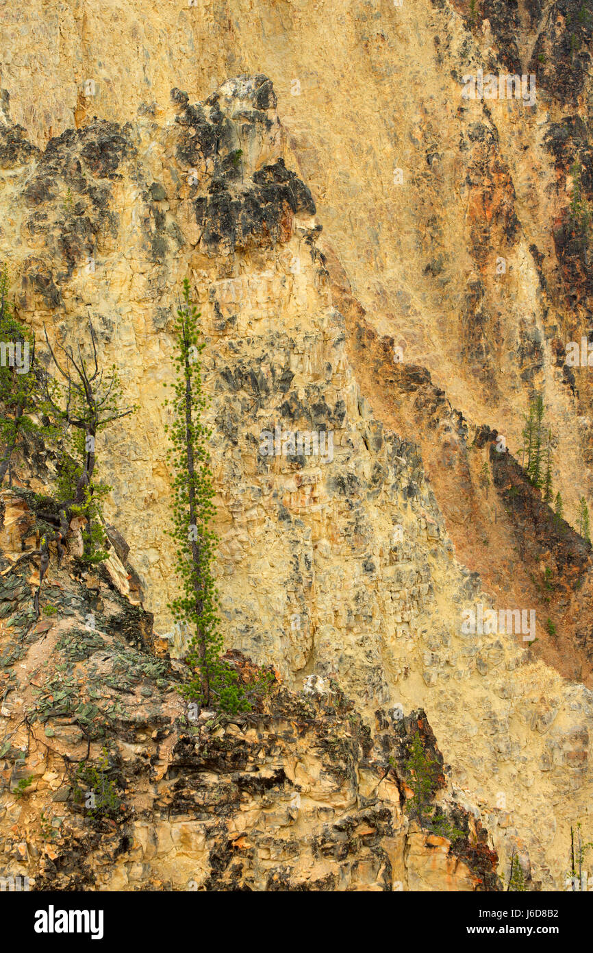 Grand Canyon of the Yellowstone from Artist Point, Yellowstone National Park, Wyoming Stock Photo