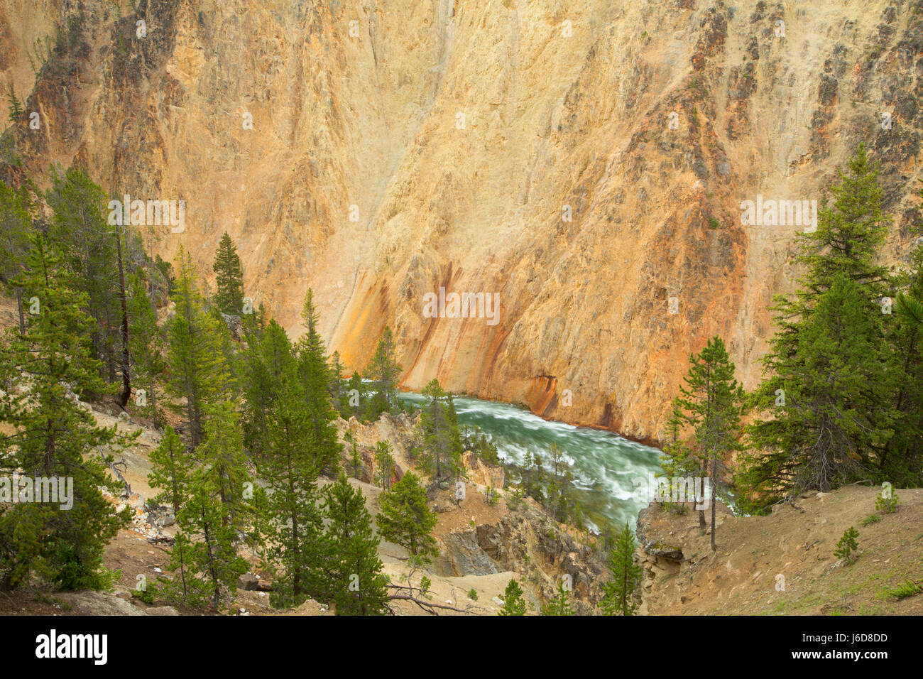 Grand Canyon of the Yellowstone from Red Rock Point, Yellowstone National Park, Wyoming Stock Photo
