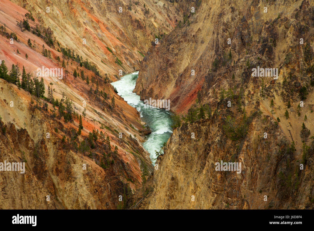 Grand Canyon of the Yellowstone from Lookout Point, Yellowstone National Park, Wyoming Stock Photo